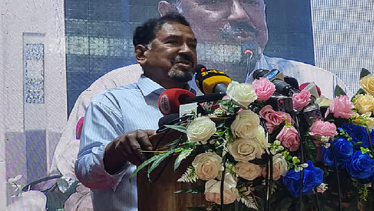 পিআর পদ্ধতিরি জন্য মানুষ জীবন দেয়নি: হাফিজ